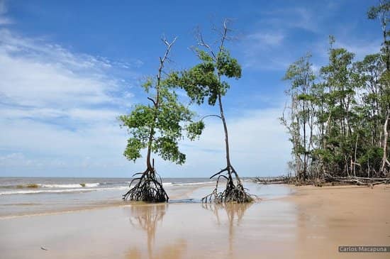 Praia de Barra Velha
