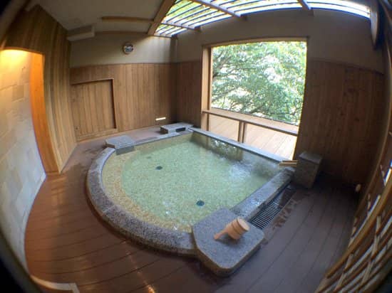 Gin-sen (Silver Spring)