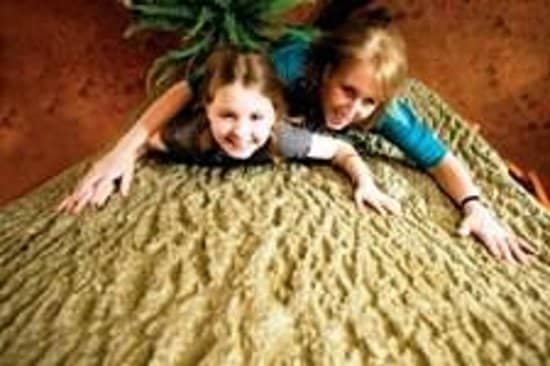 Tapestry of Local Life