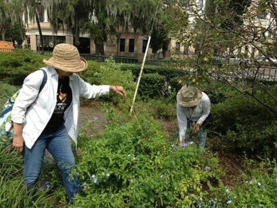 Olmsted-Designed Landscape