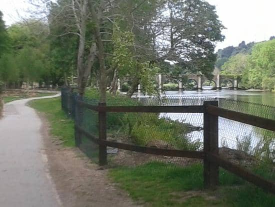 River Lee Walks