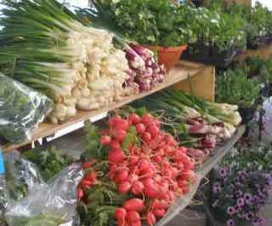 Late spring abundance!