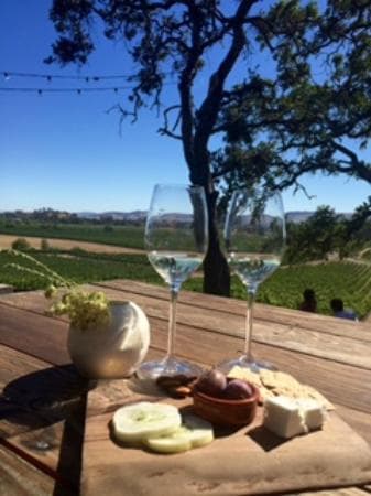 Beautiful Scribe Winery