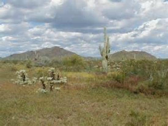 Boy Scout Trail