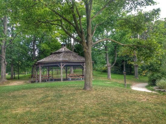 Picnic Spots & Grassy Fields