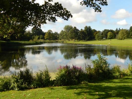 Expansive Parkland & Lake