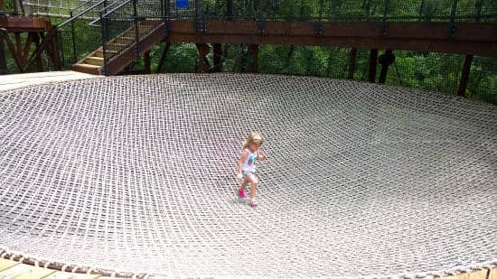 Treehouse Trampoline