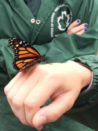 Seneca Art & Culture Center Museum