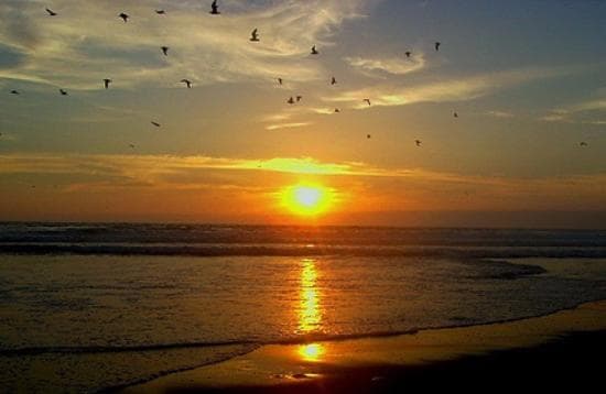 Chinchorro muy biem por la tarde/noche