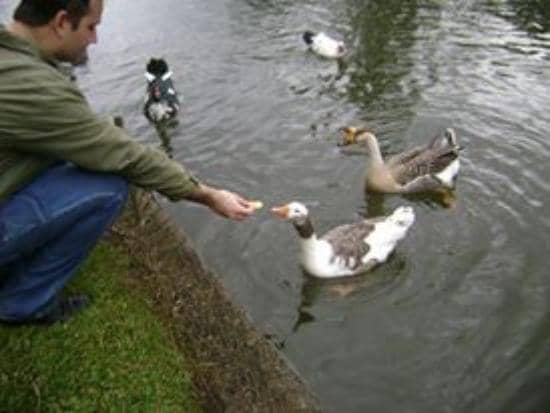 Family Fun Playground