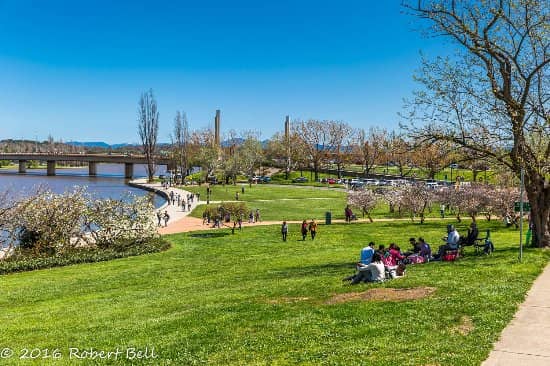 Commonwealth Park Picnic Spots