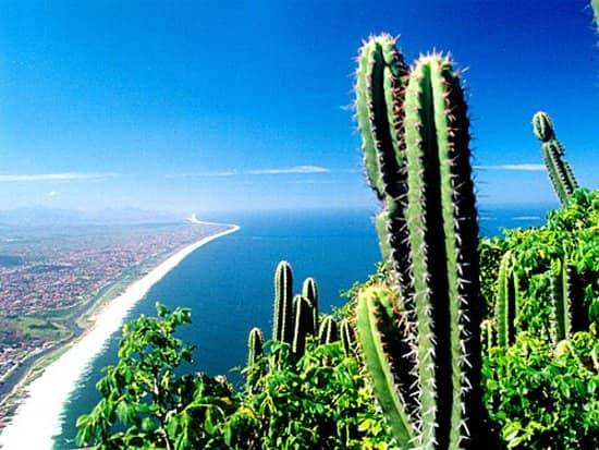 The Elephant's Head Summit