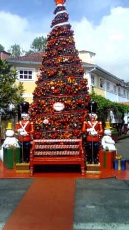 Centro de Penedo