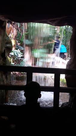Tropical House