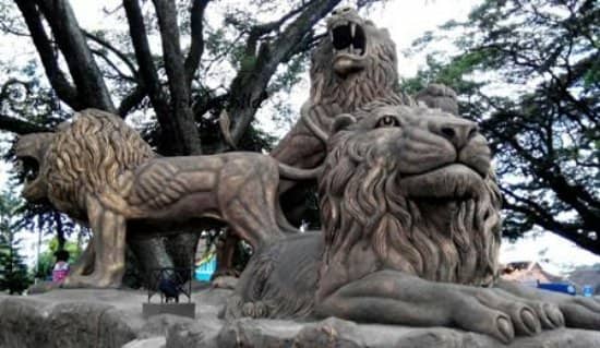 The Majestic Lion Statue