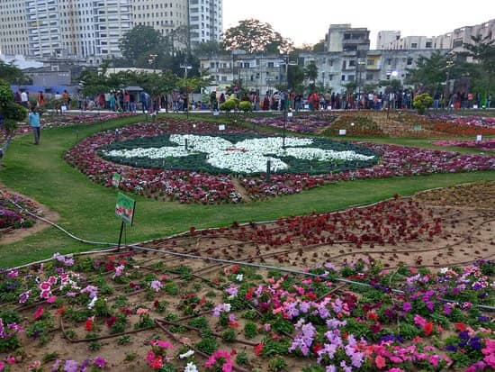 Botany Garden & Pond