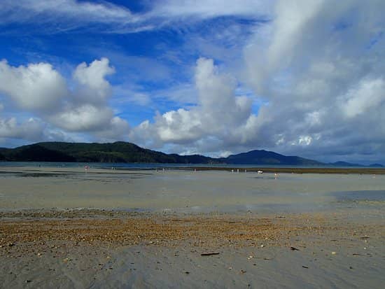 Expansive Low Tide Walks