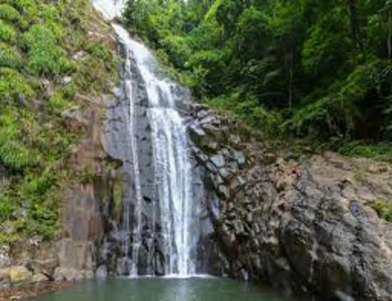 5,000 hectáreas, de bosque con la mayor biodiversidad de el país.