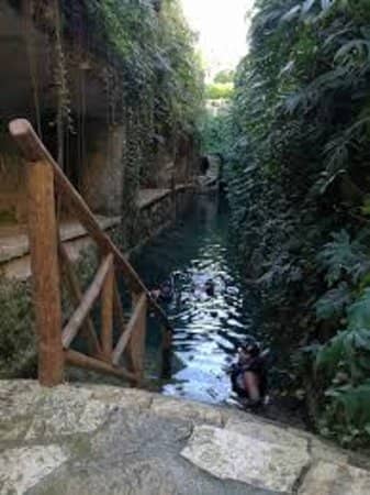 Deer Breeding Center