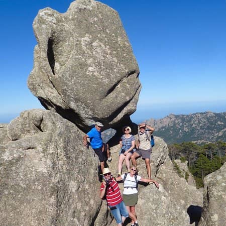 Bottom Viewpoint