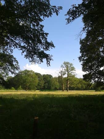 Vertical photo