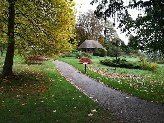 The Dungeon Experience