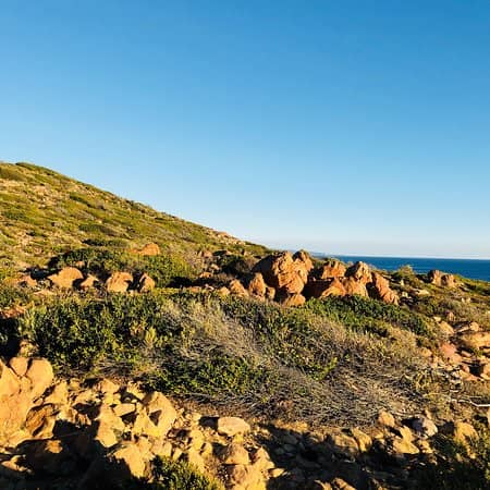 Cape to Cape Track Section