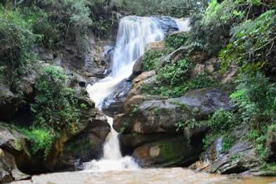 Véu de Noiva Waterfall