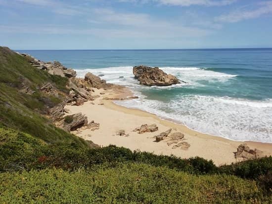 Dog-Friendly Beach Walks