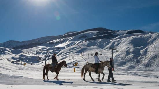 Horseback Riding Adventures