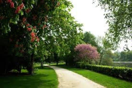 Au printemps