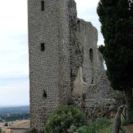 Vertical photo