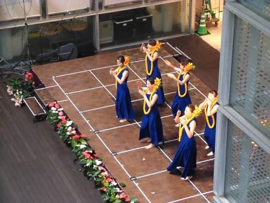 Winter Illuminations