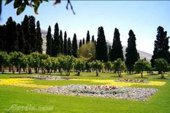 The Octagonal Mansion