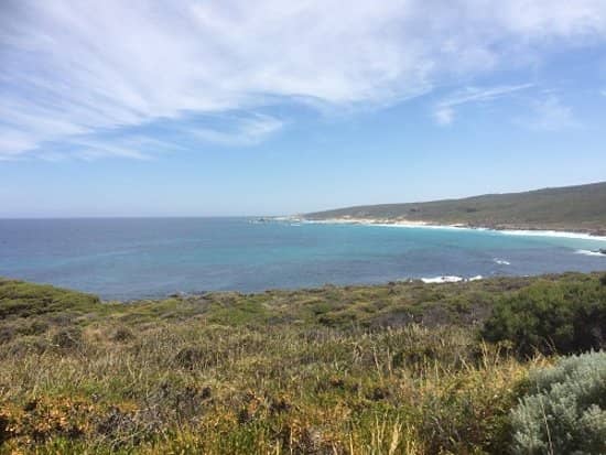 Whale Watching Lookout