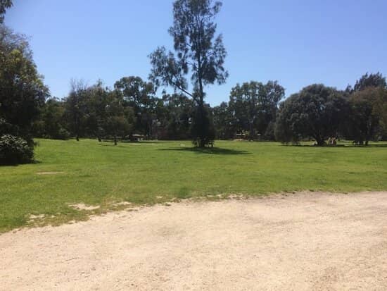 Dog-Friendly Park