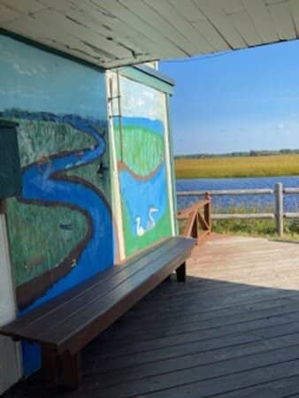 Kayaking & Canoeing the Marsh