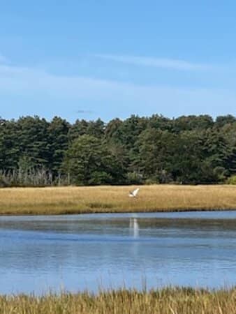 Bicycle Trail Scenic Ride