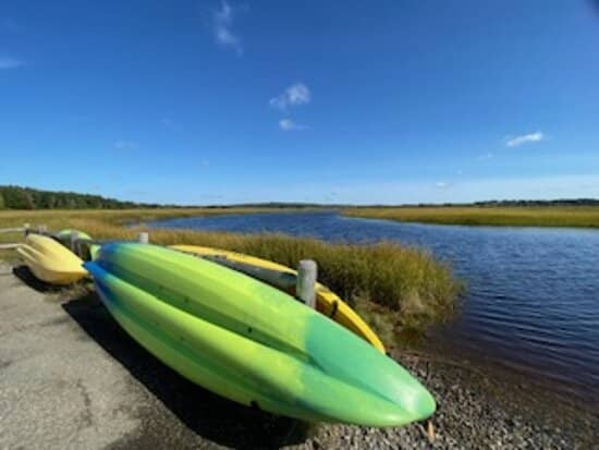 Birdwatching Opportunities