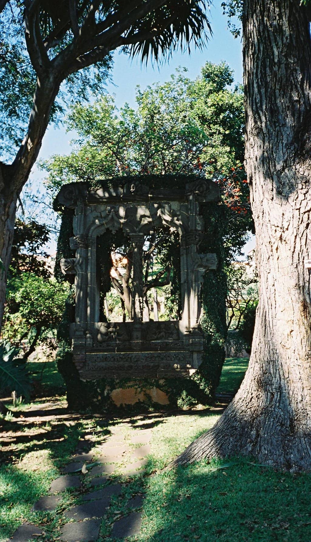 Vertical photo