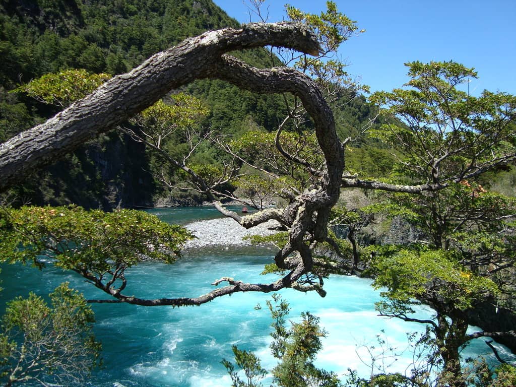 Saltos del Petrohué