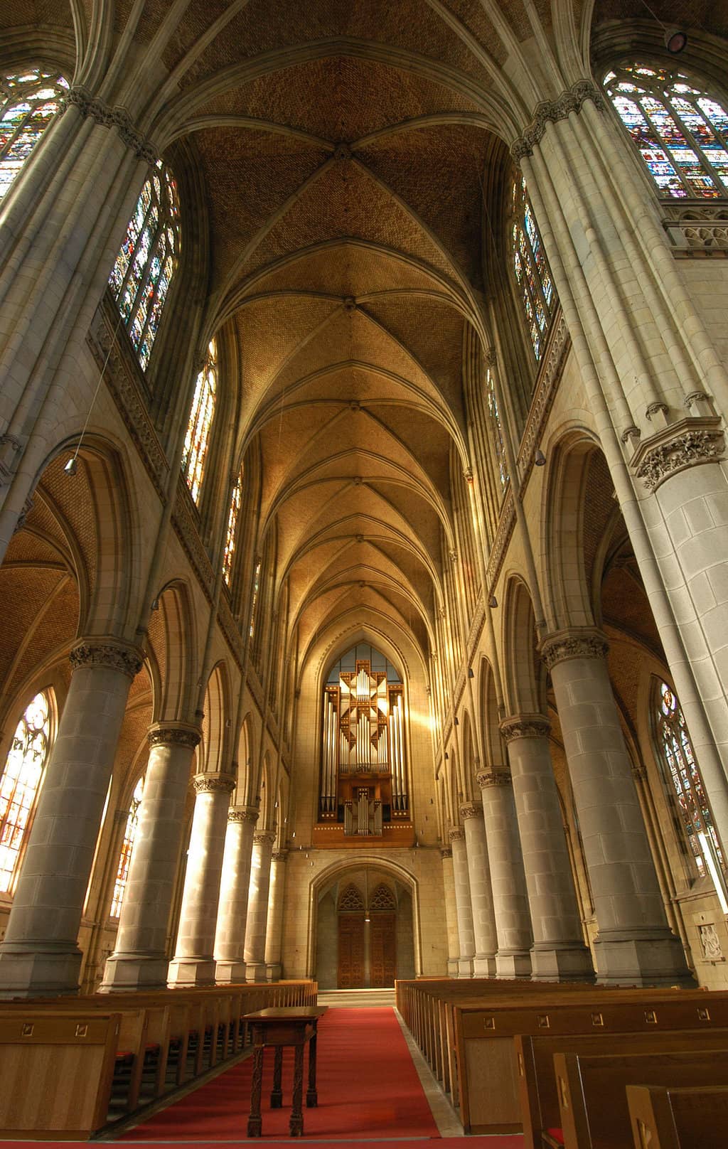 Vertical photo