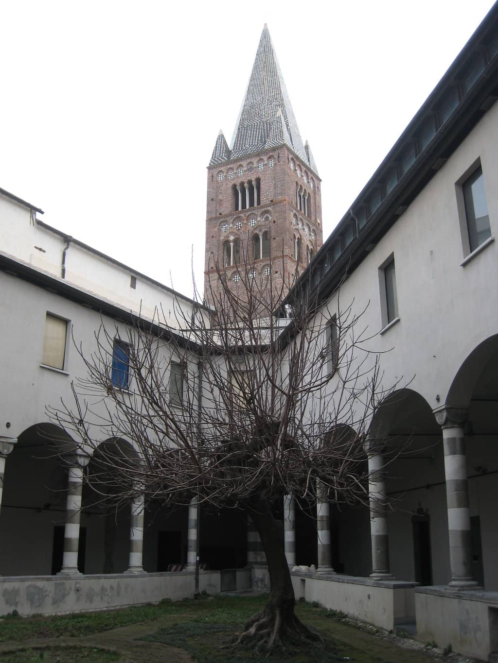 Vertical photo