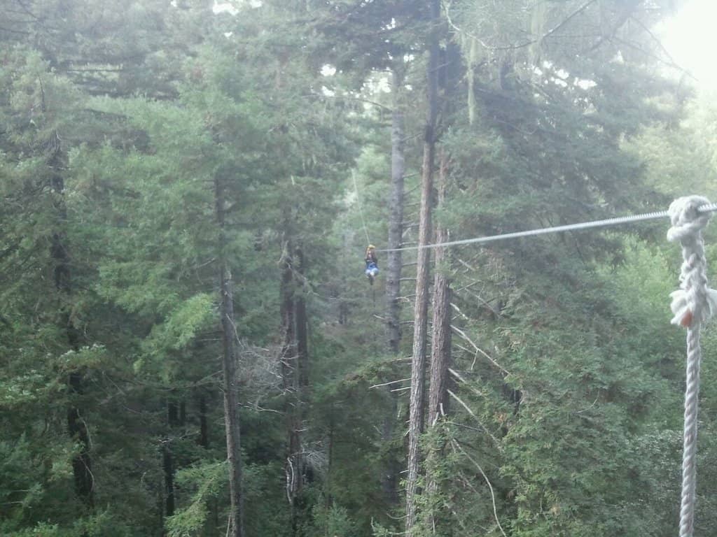 Night Zipline Adventure