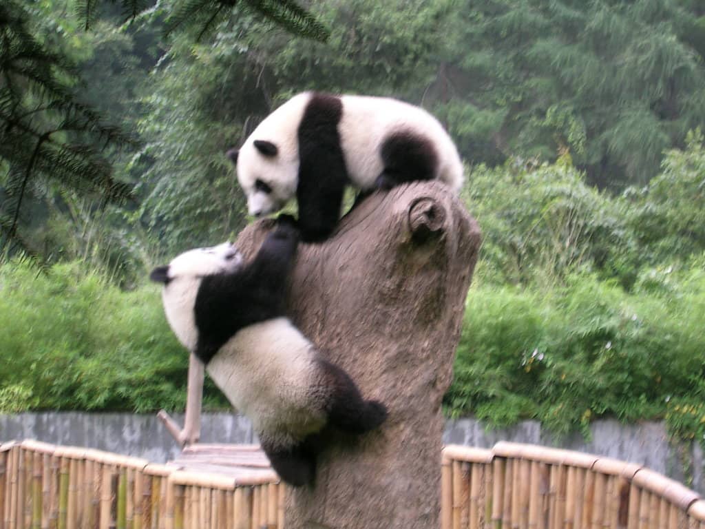 Vertical photo