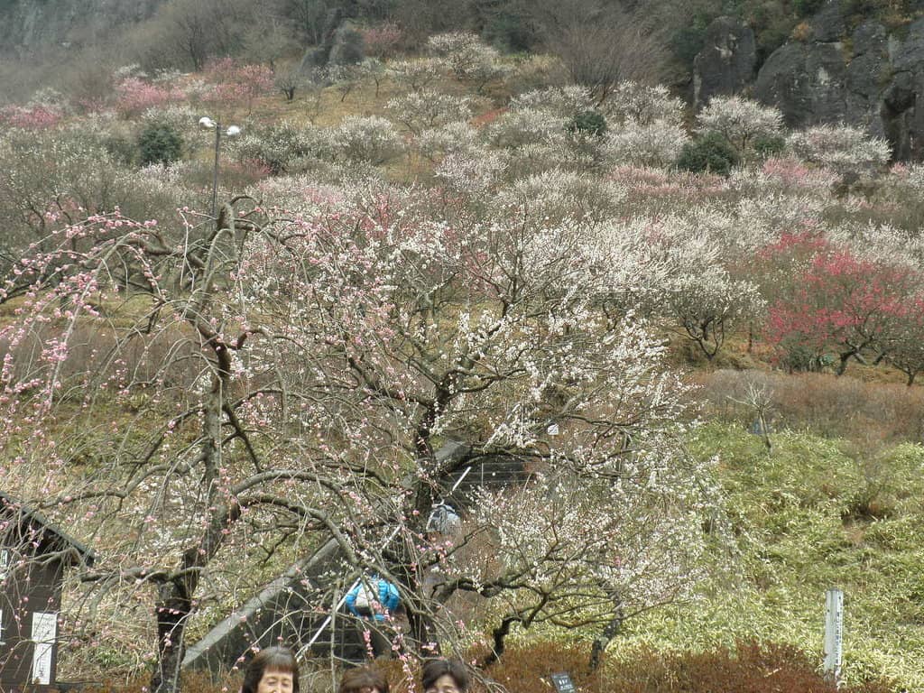 Scenic Hiking Trails