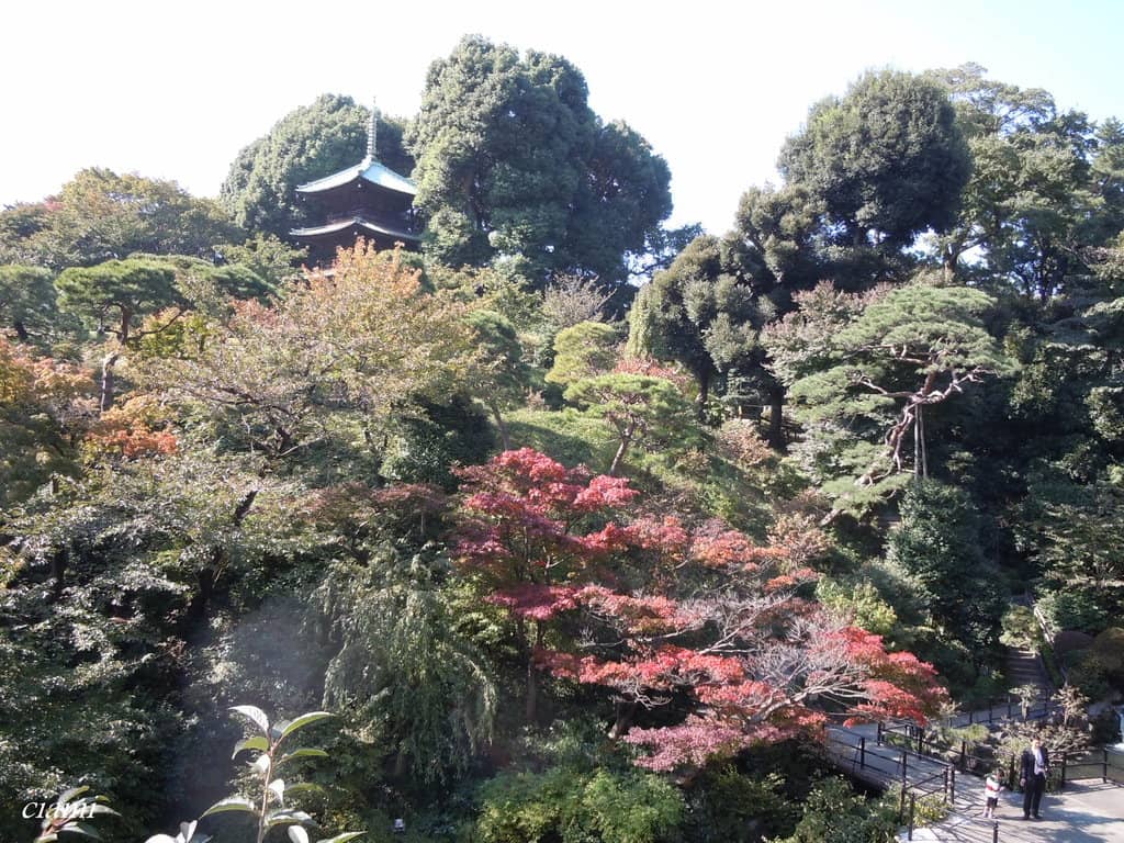 Historic Pagoda