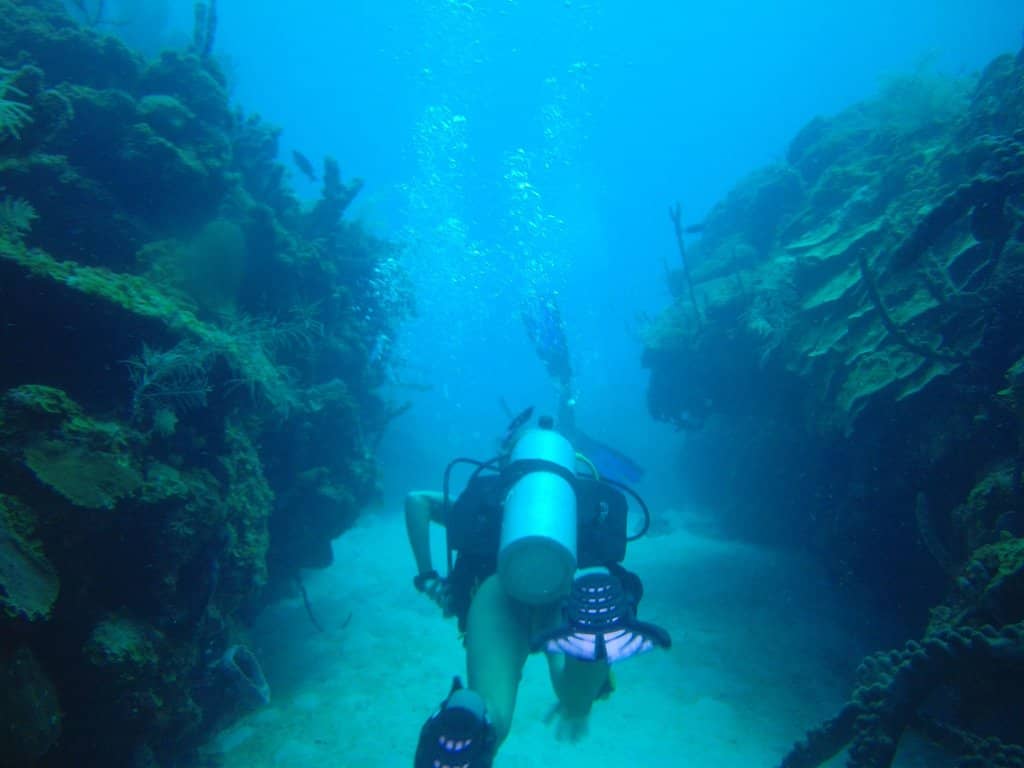 Vertical photo