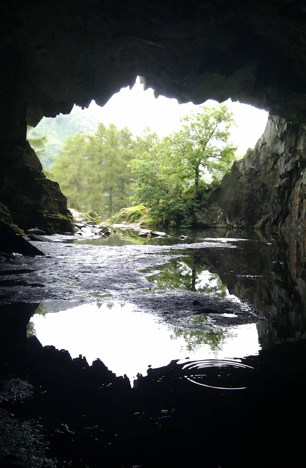 Vertical photo