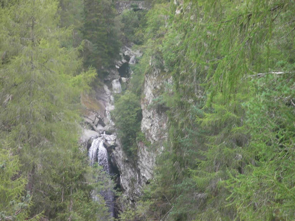 Vertical photo